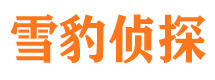 雷波找人公司